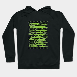 Sturgeon Sky GREEN Hoodie